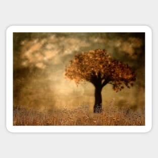 Lone Tree In Autumn Sticker